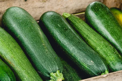 Grüne Zucchini in einer Holzkiste